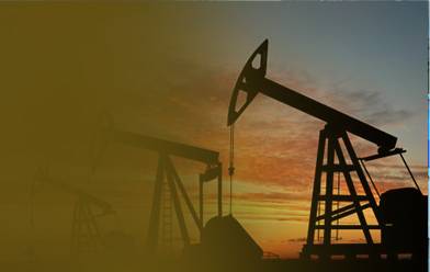 Petroleum Refinery